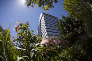 Parramatta City Campus